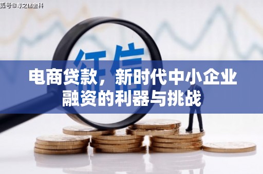 沧源电商贷款，新时代中小企业融资的利器与挑战