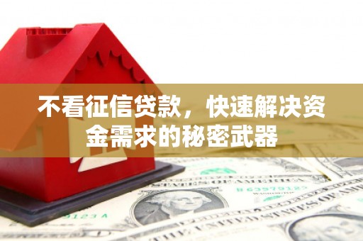 沧源不看征信贷款，快速解决资金需求的秘密武器