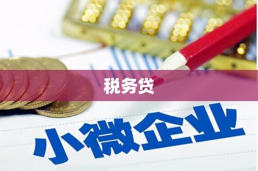 沧源税务贷