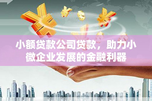 沧源小额贷款公司贷款，助力小微企业发展的金融利器