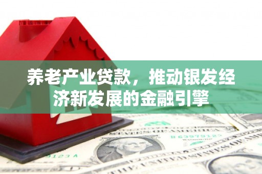 沧源养老产业贷款，推动银发经济新发展的金融引擎