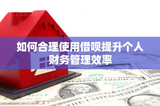 沧源如何合理使用借呗提升个人财务管理效率
