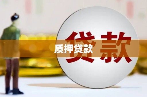 沧源质押贷款