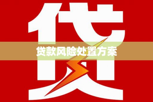 沧源贷款风险处置方案
