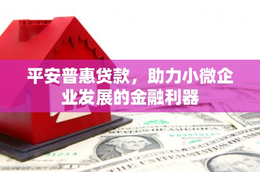 沧源平安普惠贷款，助力小微企业发展的金融利器