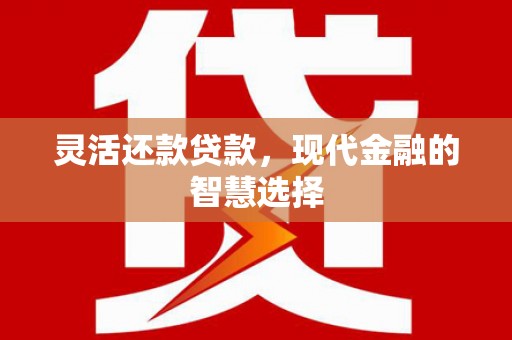 沧源灵活还款贷款，现代金融的智慧选择