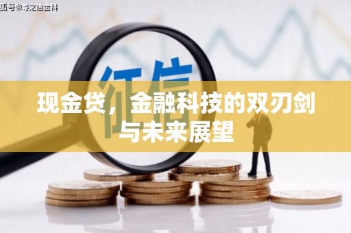 沧源现金贷，金融科技的双刃剑与未来展望