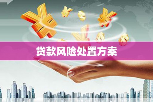 沧源贷款风险处置方案