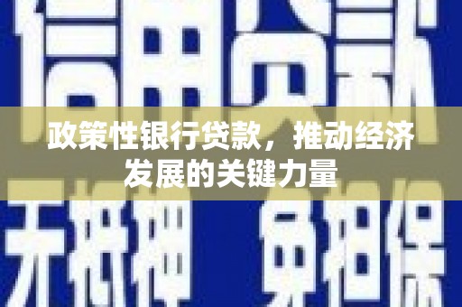 沧源政策性银行贷款，推动经济发展的关键力量