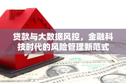 沧源贷款与大数据风控，金融科技时代的风险管理新范式