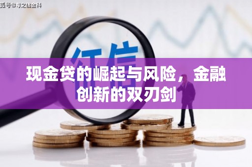 沧源现金贷的崛起与风险，金融创新的双刃剑