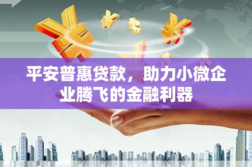 沧源平安普惠贷款，助力小微企业腾飞的金融利器