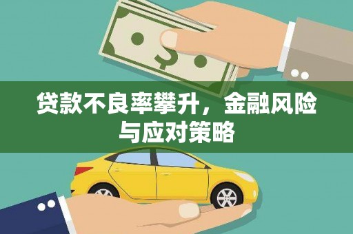 沧源贷款不良率攀升，金融风险与应对策略