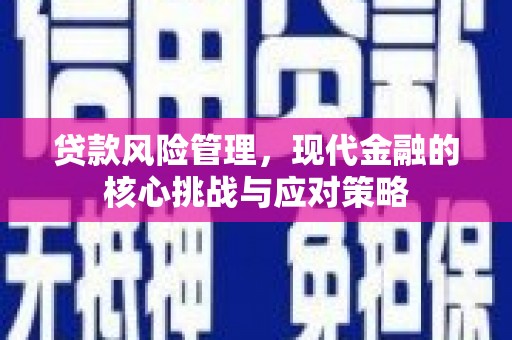 沧源贷款风险管理，现代金融的核心挑战与应对策略