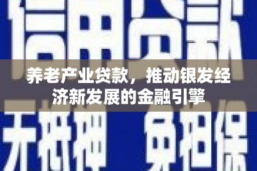 沧源养老产业贷款，推动银发经济新发展的金融引擎