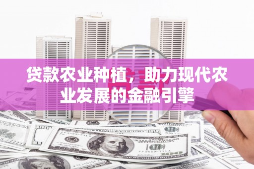 沧源贷款农业种植，助力现代农业发展的金融引擎