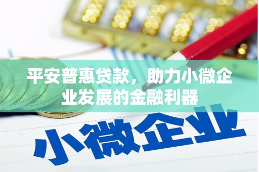 沧源平安普惠贷款，助力小微企业发展的金融利器