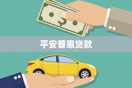 沧源平安普惠贷款
