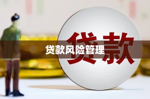 沧源贷款风险管理