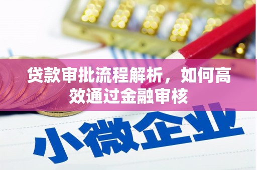 沧源贷款审批流程解析，如何高效通过金融审核