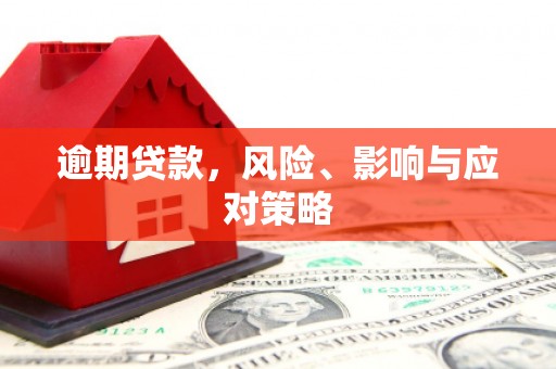 沧源逾期贷款，风险、影响与应对策略