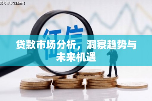 沧源贷款市场分析，洞察趋势与未来机遇