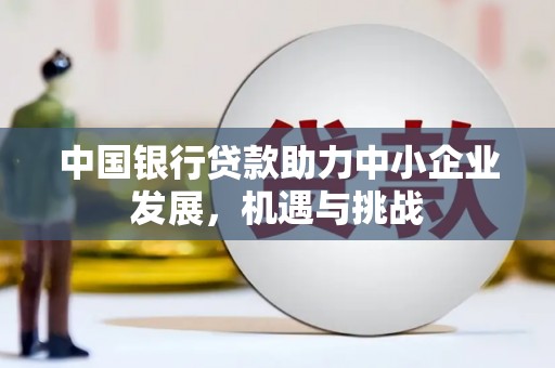 沧源中国银行贷款助力中小企业发展，机遇与挑战