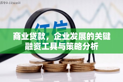 沧源商业贷款，企业发展的关键融资工具与策略分析