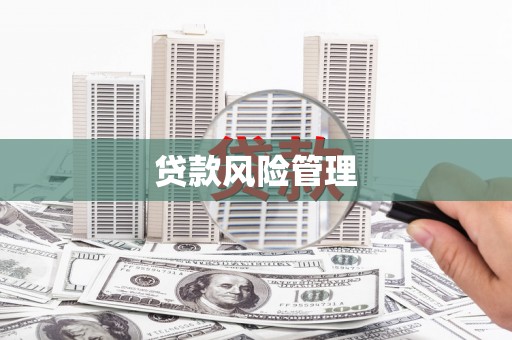 沧源贷款风险管理