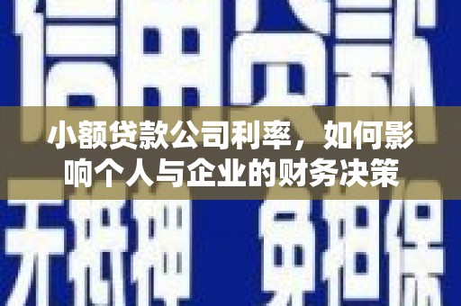 沧源小额贷款公司利率，如何影响个人与企业的财务决策