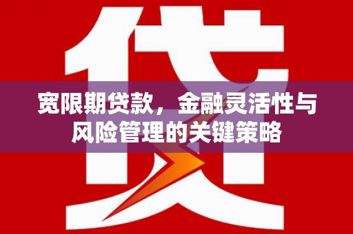 沧源宽限期贷款，金融灵活性与风险管理的关键策略