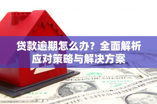 沧源贷款逾期怎么办？全面解析应对策略与解决方案