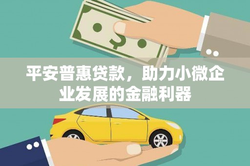 沧源平安普惠贷款，助力小微企业发展的金融利器