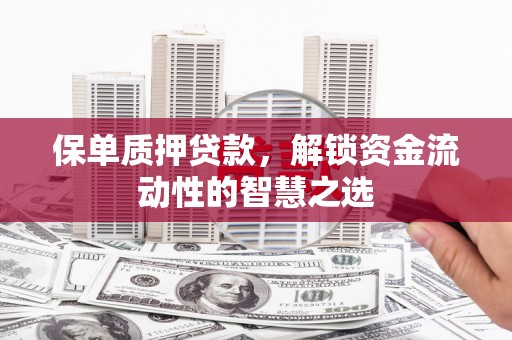 沧源保单质押贷款，解锁资金流动性的智慧之选