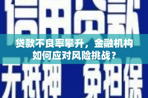 沧源贷款不良率攀升，金融机构如何应对风险挑战？