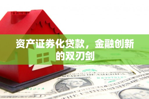 沧源资产证券化贷款，金融创新的双刃剑