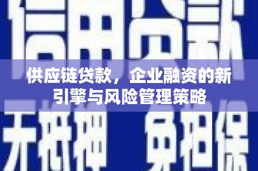 沧源供应链贷款，企业融资的新引擎与风险管理策略