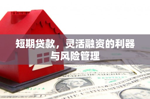 沧源短期贷款，灵活融资的利器与风险管理