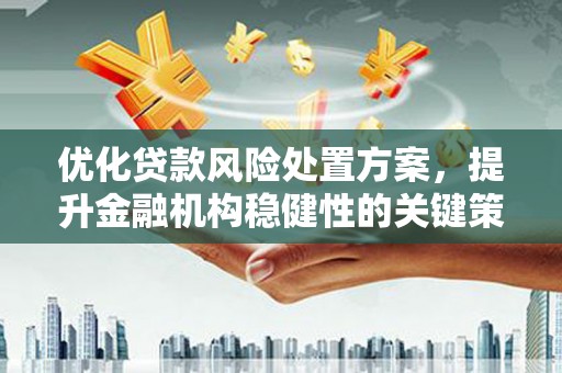 沧源优化贷款风险处置方案，提升金融机构稳健性的关键策略