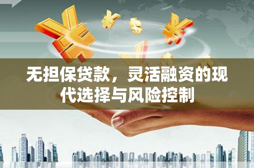 沧源无担保贷款，灵活融资的现代选择与风险控制