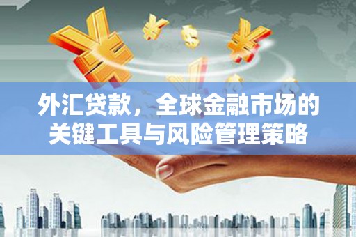 沧源外汇贷款，全球金融市场的关键工具与风险管理策略