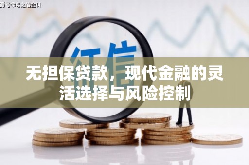 沧源无担保贷款，现代金融的灵活选择与风险控制