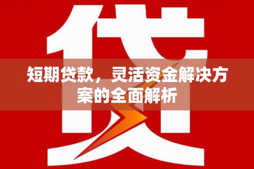 沧源短期贷款，灵活资金解决方案的全面解析