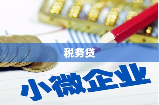 沧源税务贷