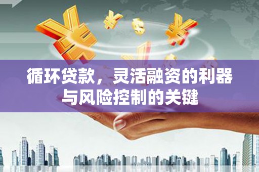沧源循环贷款，灵活融资的利器与风险控制的关键
