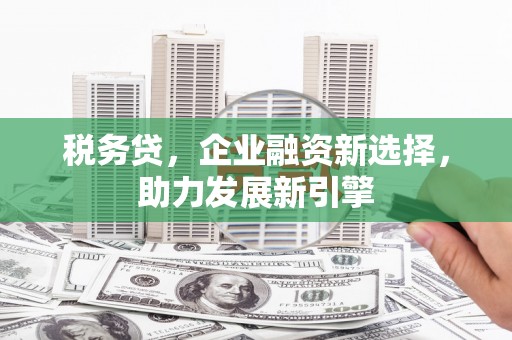 沧源税务贷，企业融资新选择，助力发展新引擎