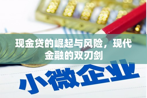 沧源现金贷的崛起与风险，现代金融的双刃剑