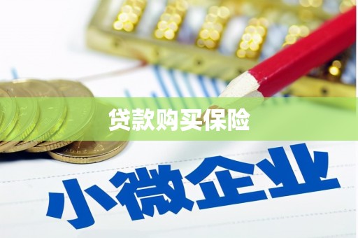 沧源贷款购买保险