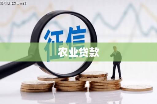 沧源农业贷款