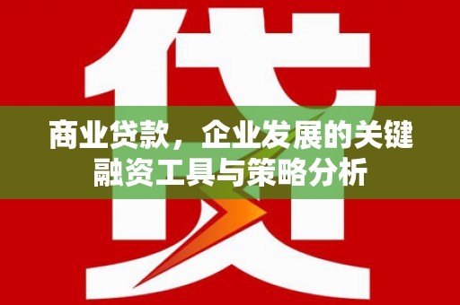 沧源商业贷款，企业发展的关键融资工具与策略分析